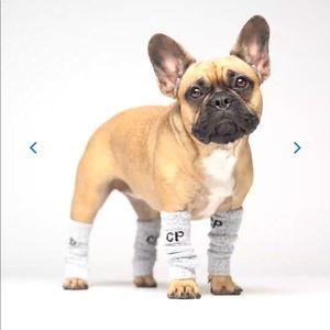 Canada Pooch Work It Leg Warmers